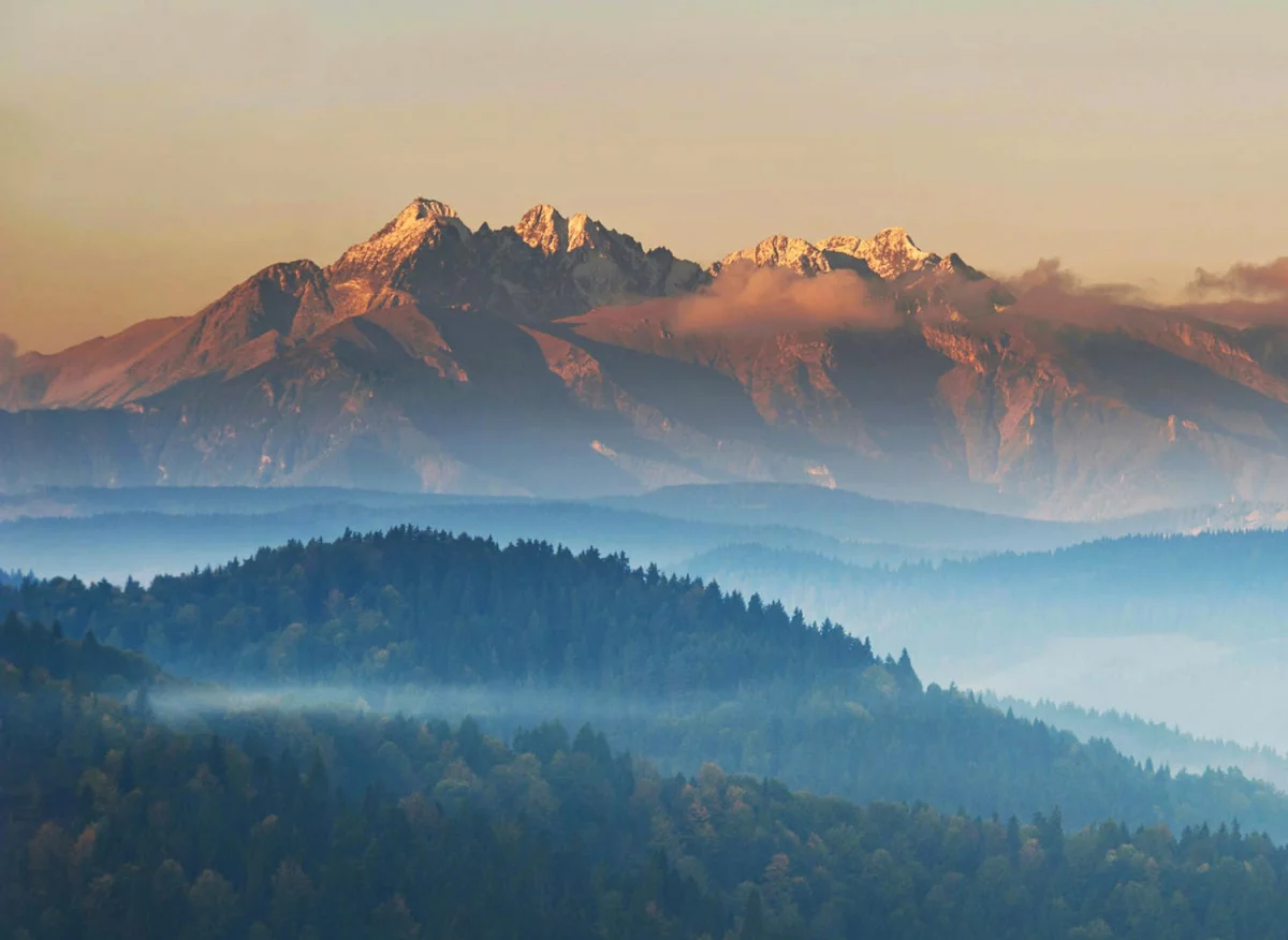 kupić paracord na metry profesjonalnie?