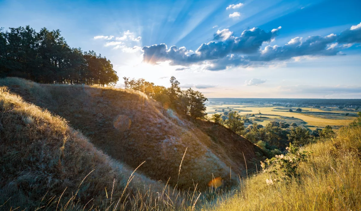 Jak  kupić programy - nowości w 2023