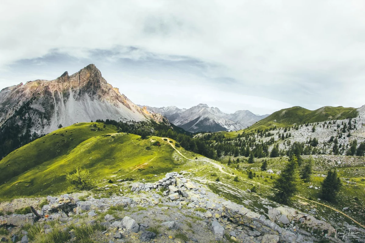 Jak wprowadzić technologię - ważne zmiany