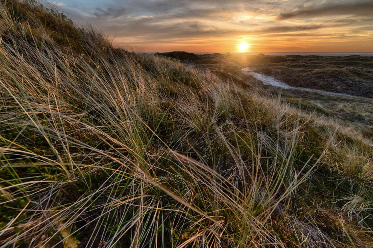 Gdzie taniej być zdrowym?