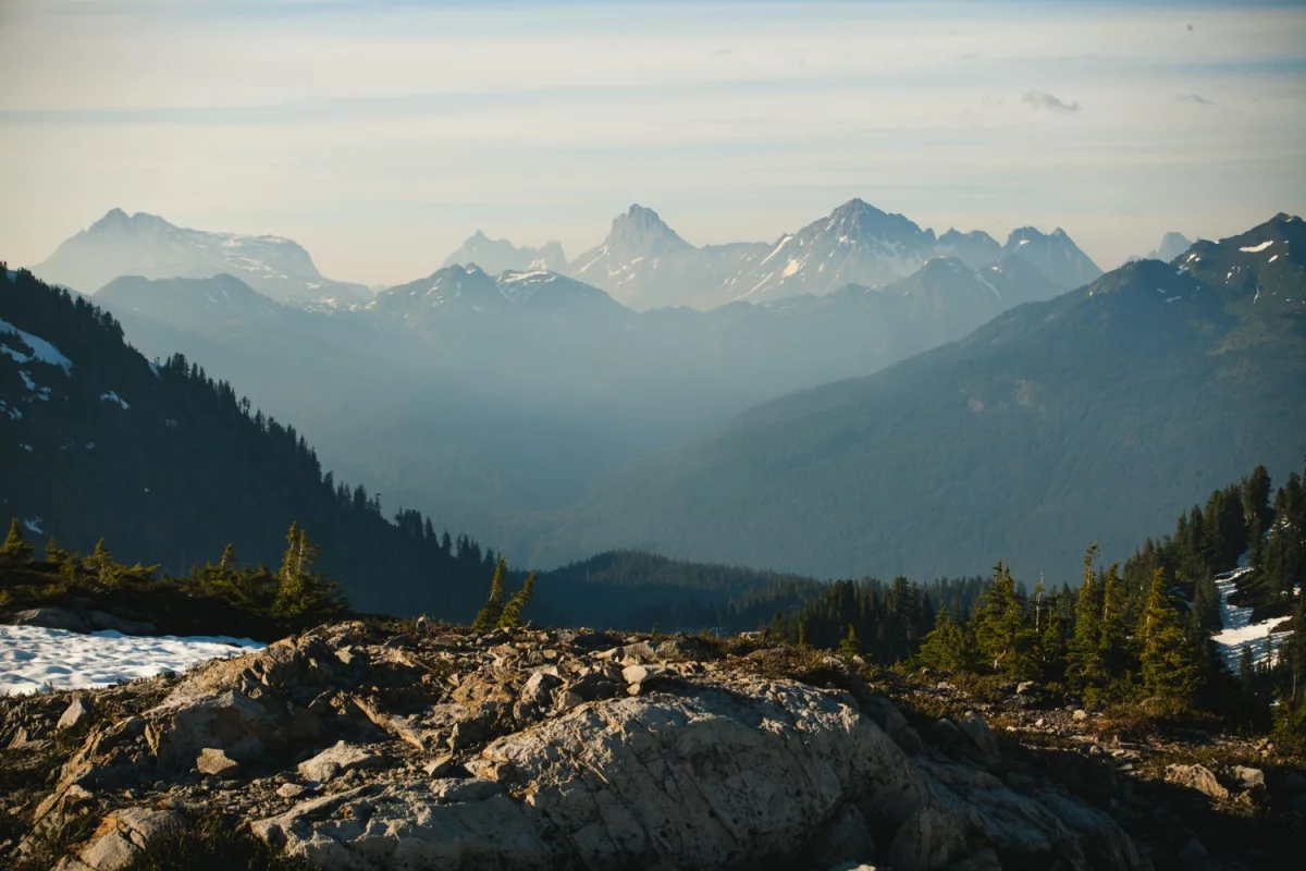 Jak bez problemu kupić para cord